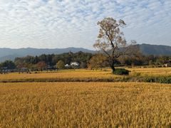 -塔川景区