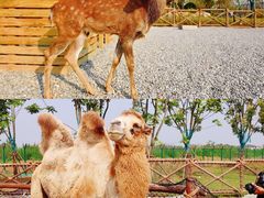 -祥源·阜阳生态乐园