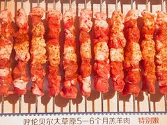 -很久以前羊肉串(朝阳路店)