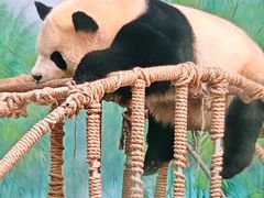 -杭州动物园