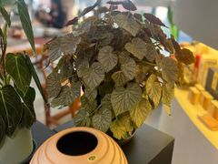 -JRCAFE玖如空间
