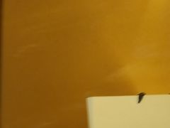 -旺福·贵州酸汤牛肉火锅(陆悦天地店)