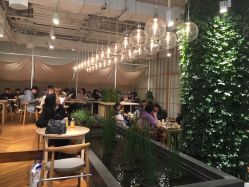 点击看大图 -悦诗风吟innisfree