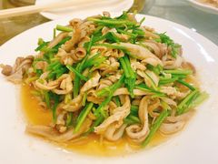 芫爆肚丝-泰丰楼(前门西大街店)