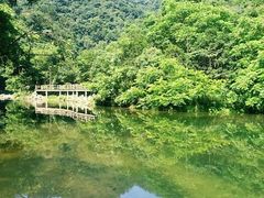 android_upload_pic-武当山风景区