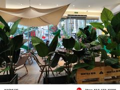 -SENTEA森茶(麦地丽日店)