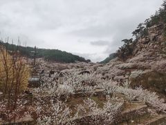 -崂山九水游览区