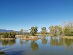 -野鸭湖国家湿地公园