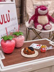 -LuLu玩具公社