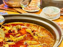 -金海椒罐罐鲢鱼(东方桂苑店)