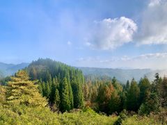 -山王坪喀斯特国家生态公园