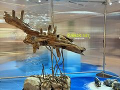 -北京望京万象汇
