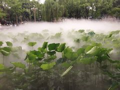 -四川大学(望江校区)