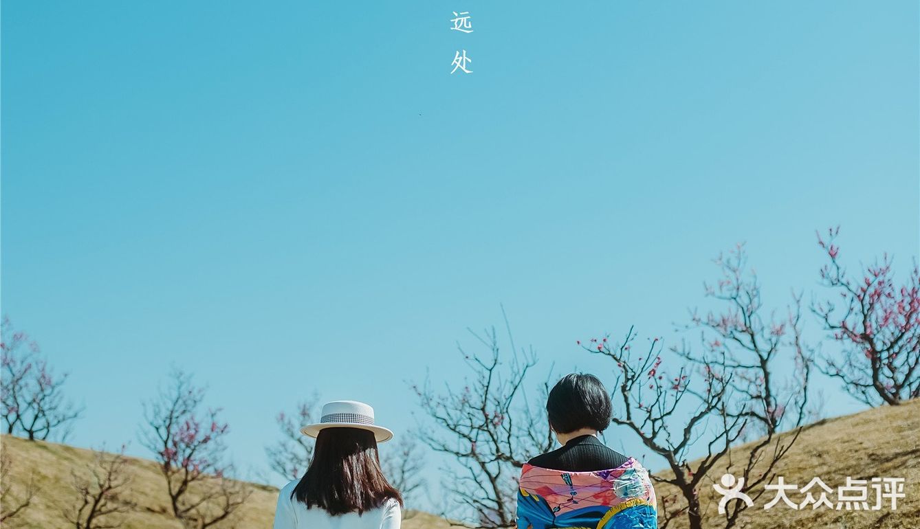 西安新晋赏花地——长安唐村