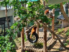 -大连森林动物园