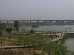 浐霸湿地公园-西安浐灞国家湿地公园