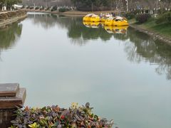 -上海海湾国家森林公园