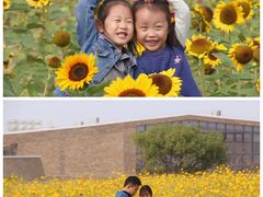 -瑶湖郊野森林公园