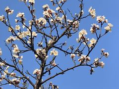 -上海吴淞炮台湾国家湿地公园