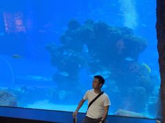 -成都浩海立方海洋公园