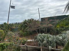 -三亚海棠湾喜来登度假酒店