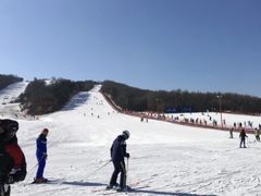 -东北亚滑雪场