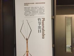 -成都百丽宫影城(LUXE太古里店)