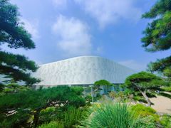 -罗红摄影艺术馆