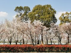 -幕燕滨江·长江观音景区