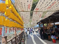 -石台牯牛降景区