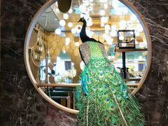 门面-雀蓝川菜(奥体广场店)