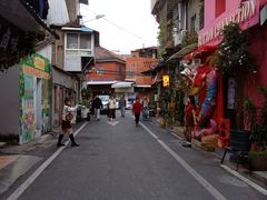 -溪岸路花鸟市场