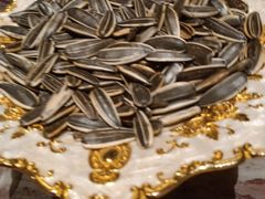 -领航美食音乐餐吧