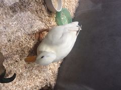 -狗道宠物(常熟印象城店)