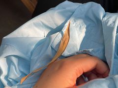 -扫雪煮茶(西村店)