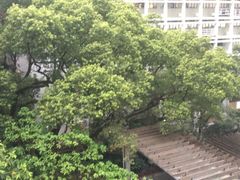 -香港大学