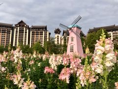 -清远熹乐谷温泉度假酒店