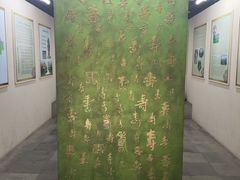 -水绘园