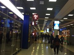 -谢列梅捷沃国际机场