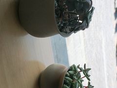 -沪上阿姨·精选茶饮(燕郊富地广场店)