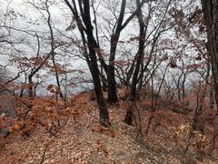 -天女山森林公园