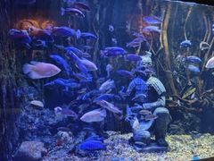 -华夏文旅西安度假区