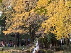 -温江公园