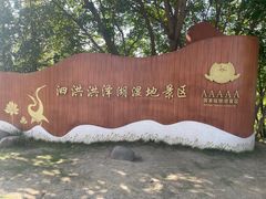 -泗洪洪泽湖湿地景区