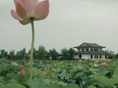 -漳泽水库水上公园