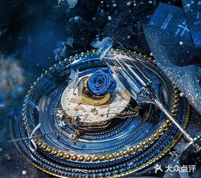 星空下的明灯，银外河系的花海