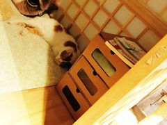 -小时光咖啡馆(开森度假森林店)