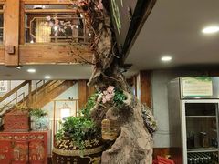 -七菜馆·东北菜·蒸饺(文体路店)