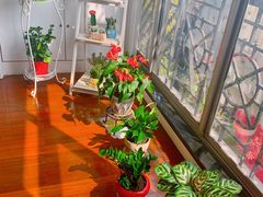-双季花艺园艺市场(浦东店)
