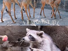 -长鹿旅游休博园